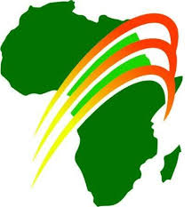 International Partner